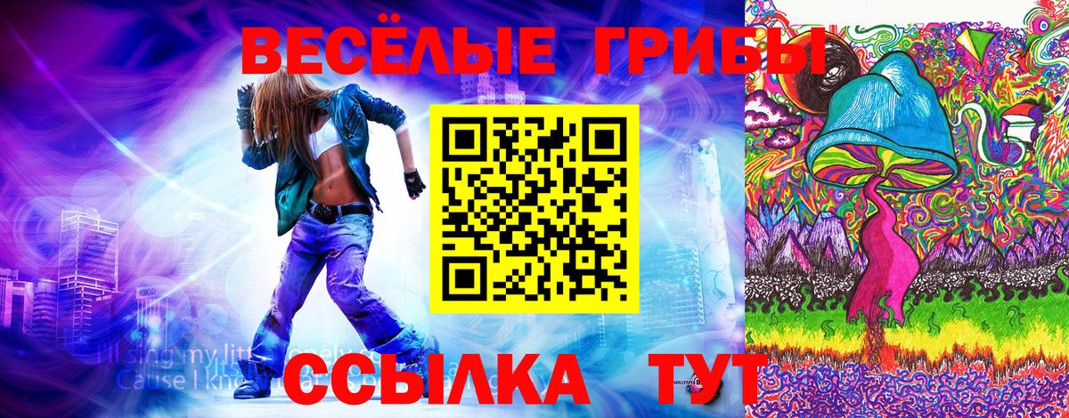 Элиста  Галлюциногенные грибы Cubensis  Псилоцибиновые грибы GOLDEN TEACHER  Вход с VPN 