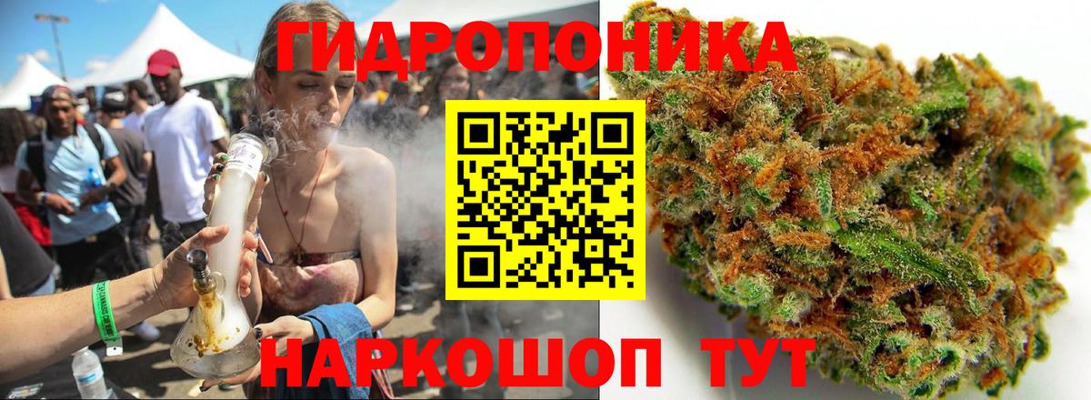 Каннабис семена Элиста